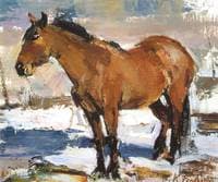 A Horse