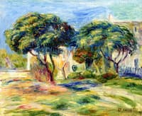Loquat Trees