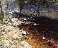 The Trout Brook