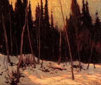 Morning, Algonquin Park