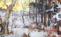 Winter Landscape