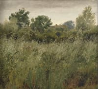 Oat Field at Vejby