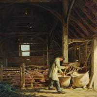 Evening Meal, Pigs