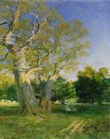 Summer Evening in Cadzow