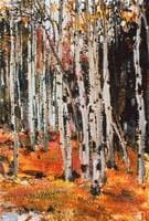 Birch Trees