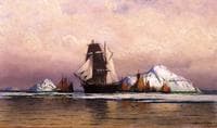 Fishing Fleet off Labrador