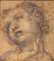 Study for the Head of Cupid