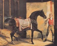 Cheval sortant de l’écurie  (Horse leaving the Stable)