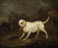 "Carlin" in the Countryside