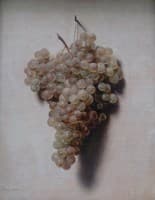 White Grapes