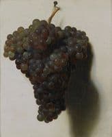 Black Grapes
