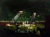 Circus