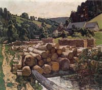 Cut Wood