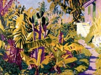 Bermuda Pathway and Bananas