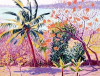 Palm and Match-Me-If-You-Can, Bermuda