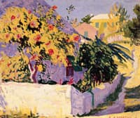 Hibiscus, Bermuda