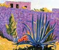 Blue Aloe