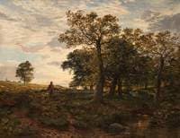 Verderer in Cadzow Forest