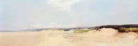 Dunes