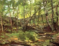 Creek Woods, Connecticut