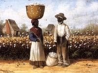 Cotton Pickers