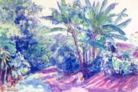 Blue Shadows, Indian Village