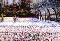 Early Spring in Holland