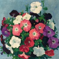 A Bouquet of Petunias