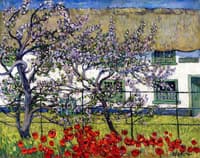 Van Gogh's Hospital