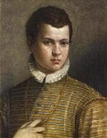 Portrait of a Young Man