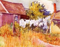 The Laundry