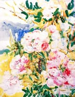 Peonies