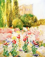 Flowering Field, Ithaca, New York