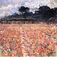 Flowering Fields, Noordwijk (Holland)