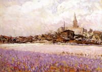 Hyacinth Fields, Noordwijk