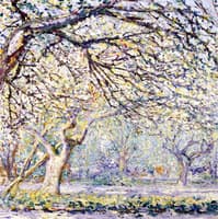 Amidst Flowering Trees