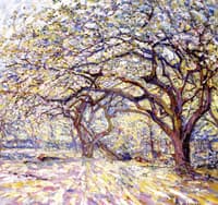 Flowering Fruit Trees