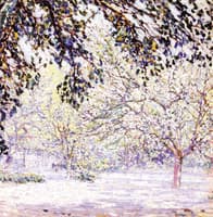 Orchard from beneath the Tree