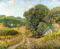 Country Lane