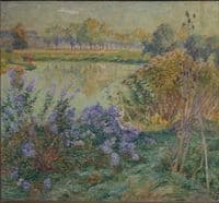 Asters
