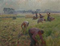 Flax Harvesting
