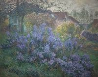The Asters
