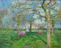 Orchard in Spring