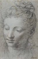Study of a Woman's Head