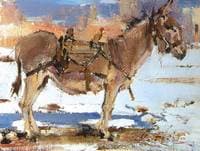 Donkey