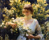 Summer Morning