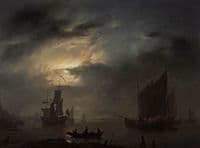 Nocturnal Marine