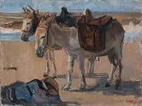 Two Donkeys
