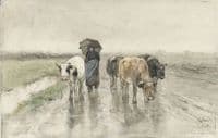 A Herdess with Cows on a Country Road in the Rain
