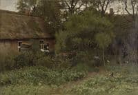 The Vegetable Garden